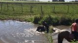 Balades et randonnées à cheval