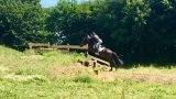 Cours d'équitation