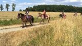 Balades et randonnées à cheval