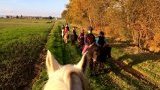 Balades et randonnées à cheval
