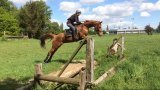 Stages d'équitation