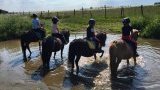 Balades et randonnées à cheval