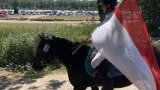 Sorties en concours