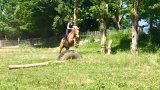 Cours d'équitation