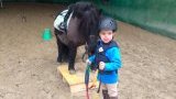 Cours d'équitation