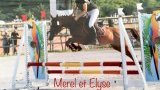 Sorties en concours