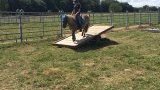 Stages d'équitation