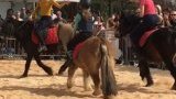 Stages d'équitation